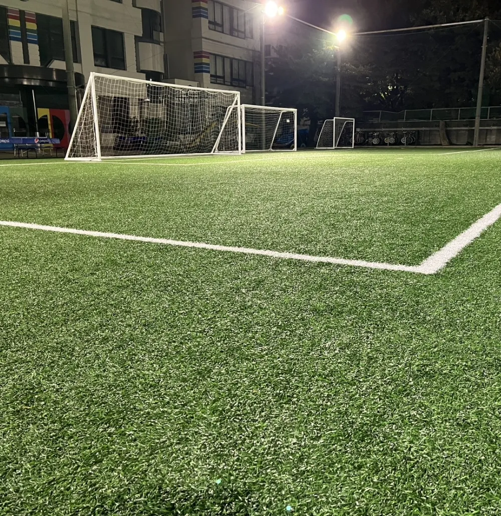 生野人工芝グランド（生野朝鮮初級学校）