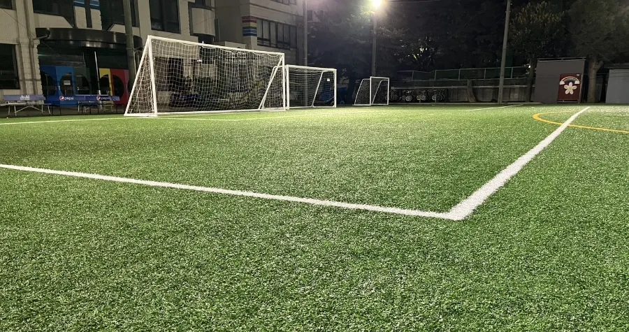 生野人工芝グランド（生野朝鮮初級学校）